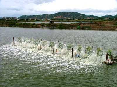 Quang Ninh Forum sur les défis environnementaux
